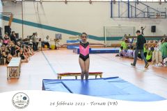 trampolino-139
