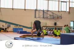 trampolino-85
